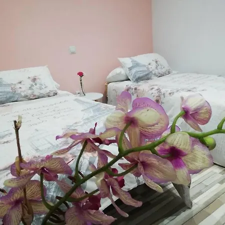 Acuarela - Confort Junto Al Centro Apartamento